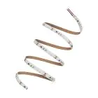 Ledvance Led-Streifen Performance 21W 2455lm 24v - 965 Tageslichtweiß | 5M/8mm - Höchste Farbwiedergabe